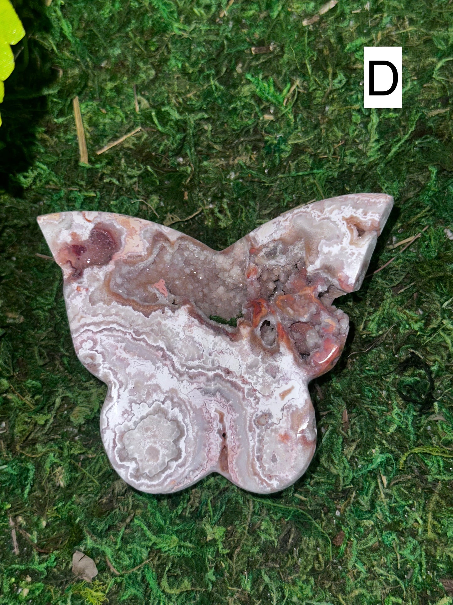 Crazy Lace Agate Butterflies