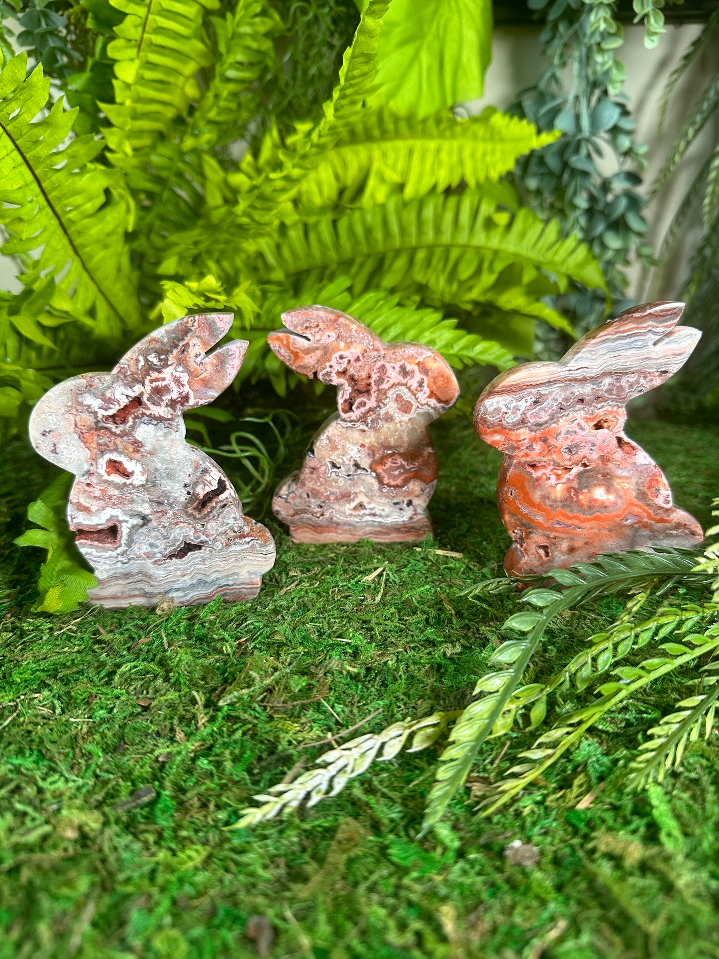 Crazy Lace Agate Bunnies