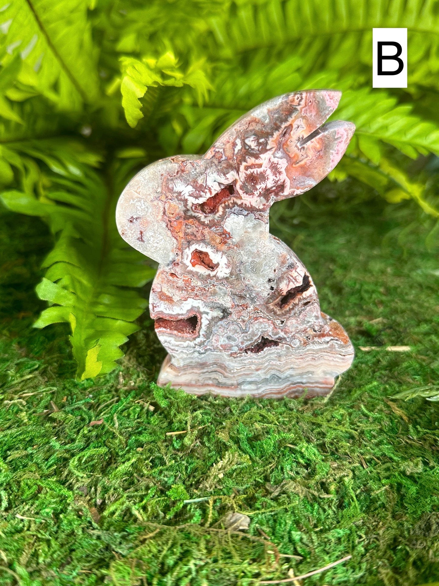 Crazy Lace Agate Bunnies