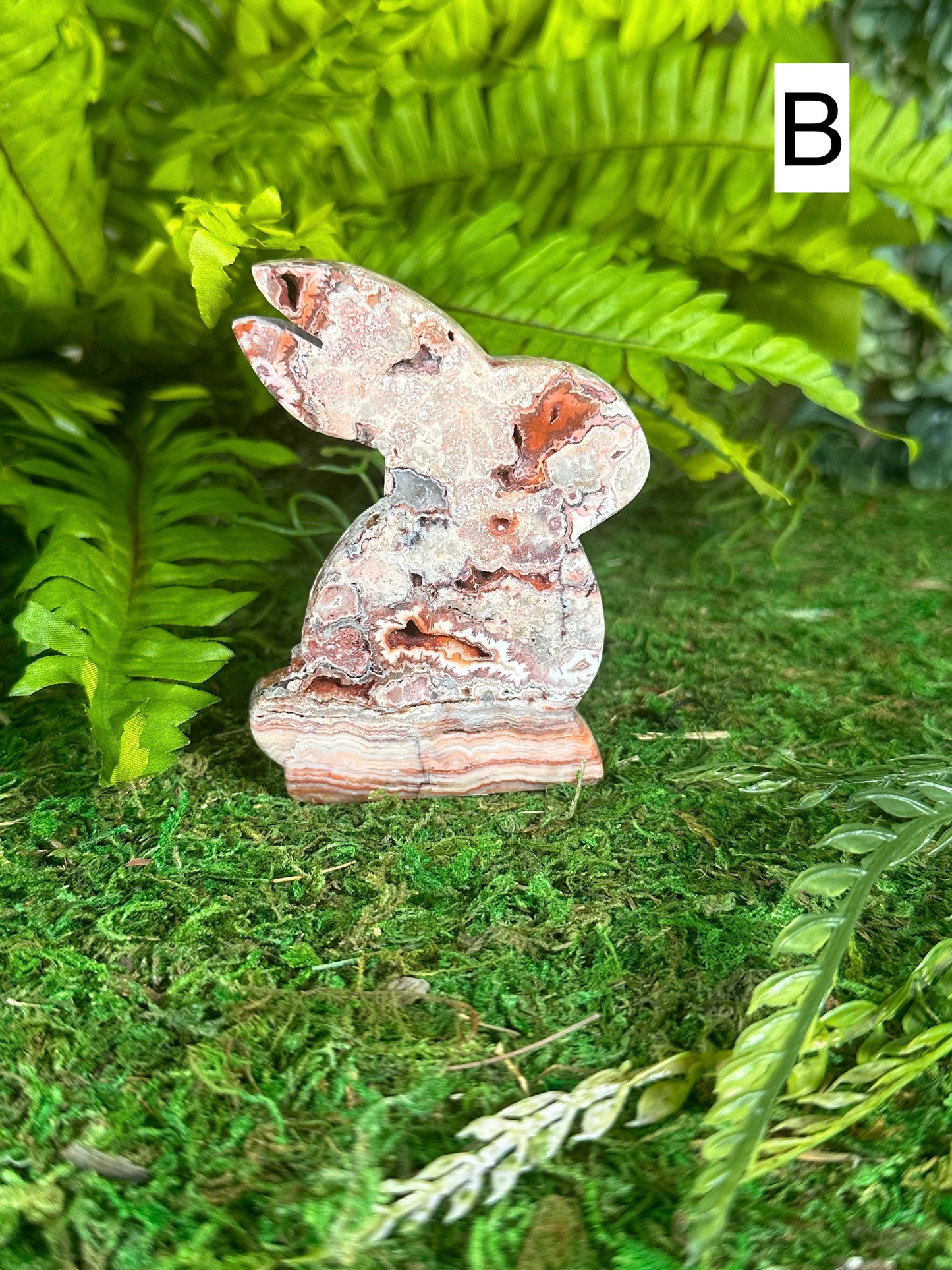 Crazy Lace Agate Bunnies