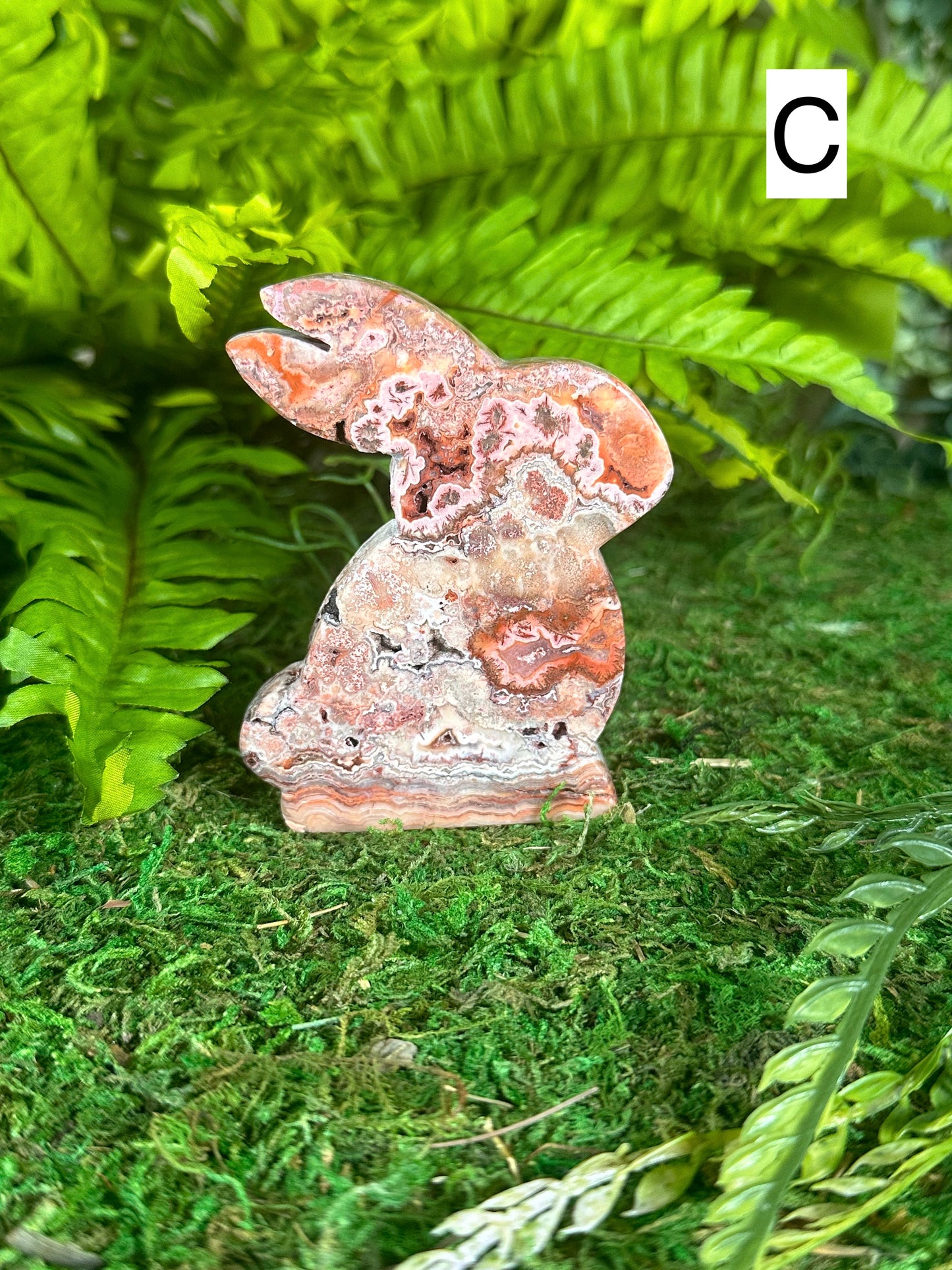 Crazy Lace Agate Bunnies