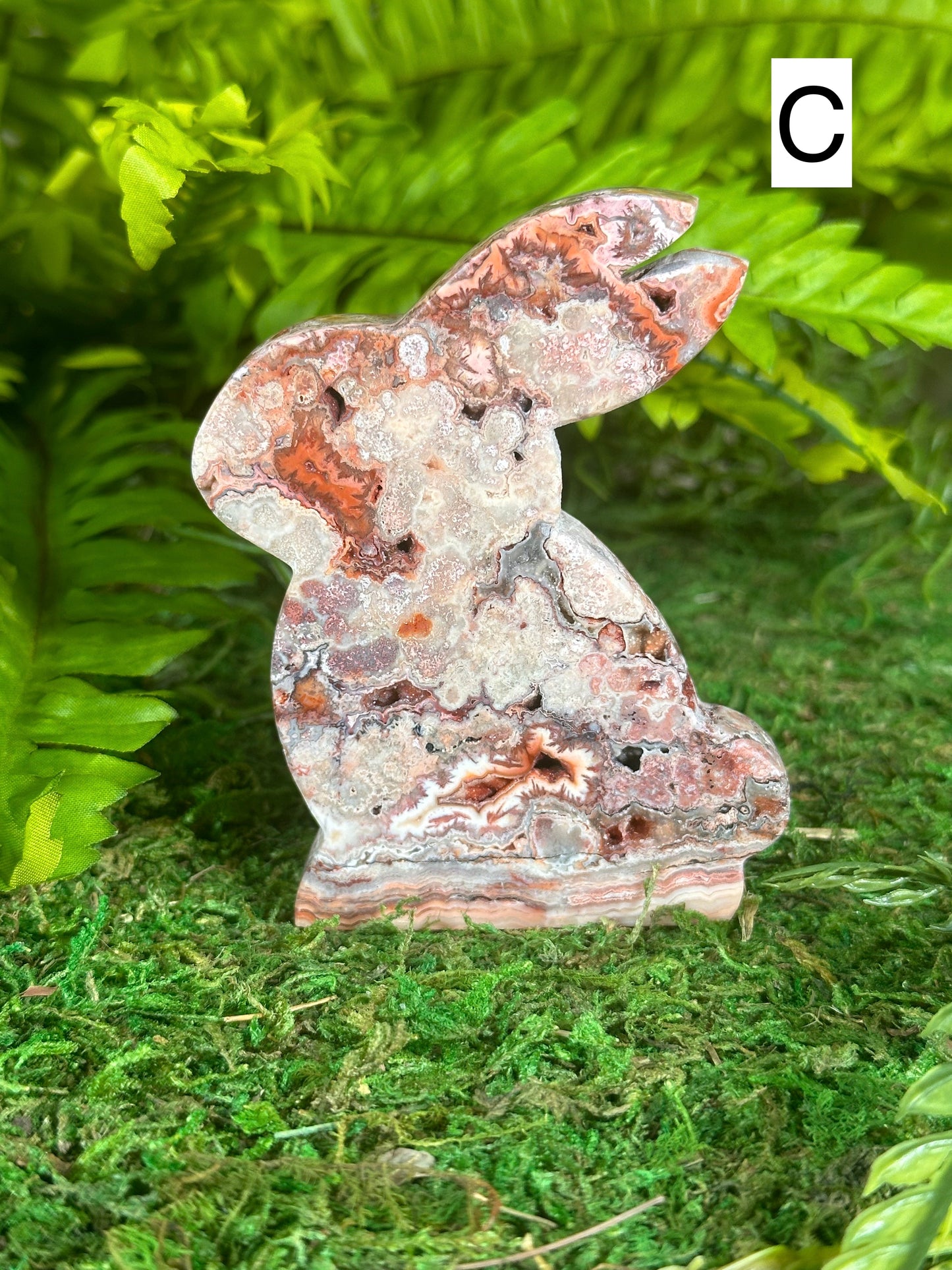 Crazy Lace Agate Bunnies