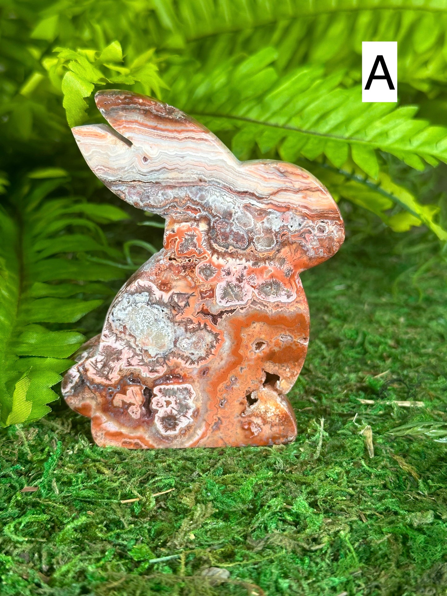 Crazy Lace Agate Bunnies