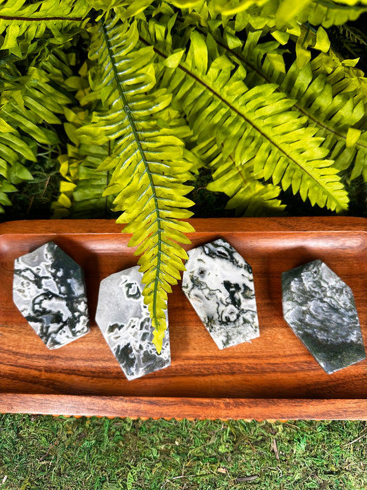 Moss Agate Coffin Bowls