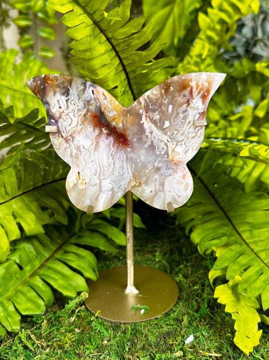 Rainbow Plume Agate Butterfly