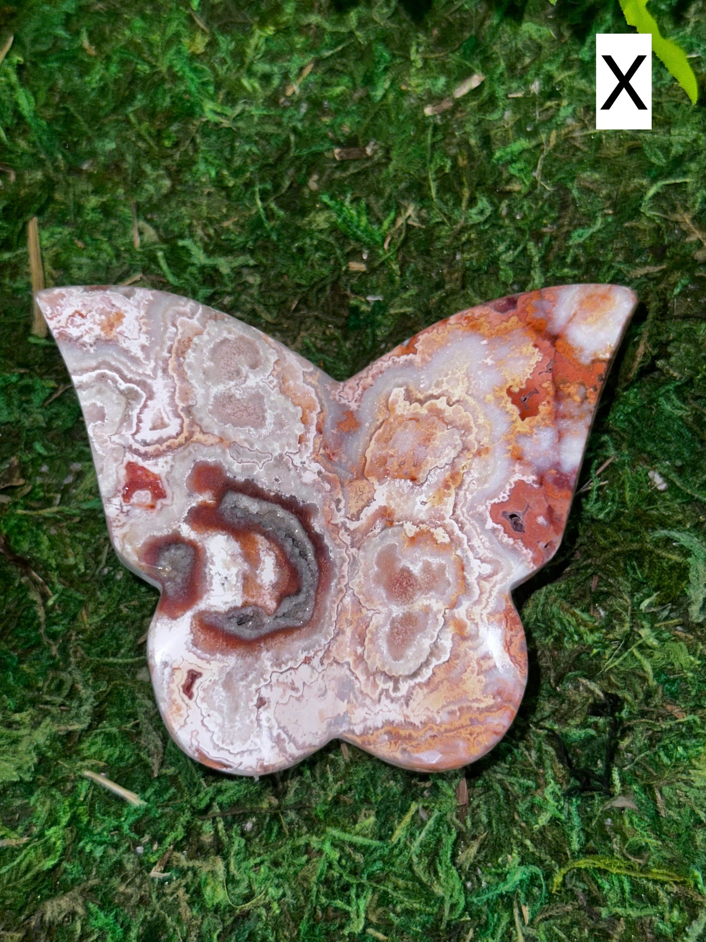 Crazy Lace Agate Butterflies